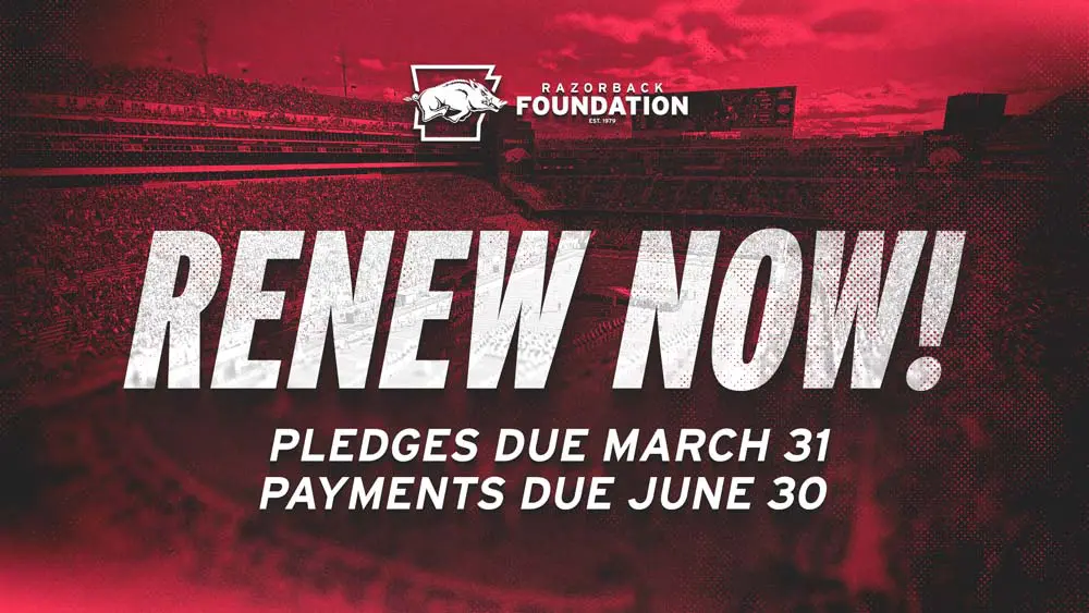 renew now graphic