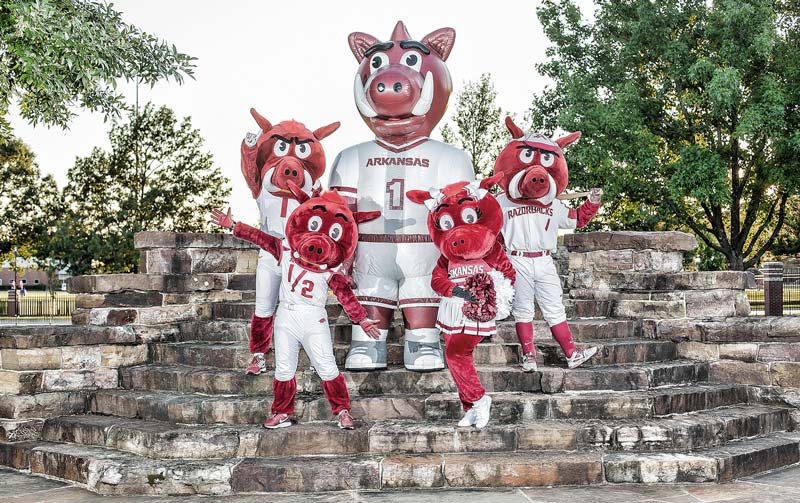Spirit squad posed photo